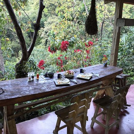 Finca San Rafael - Cafe Y Cacao Minca Eksteriør billede