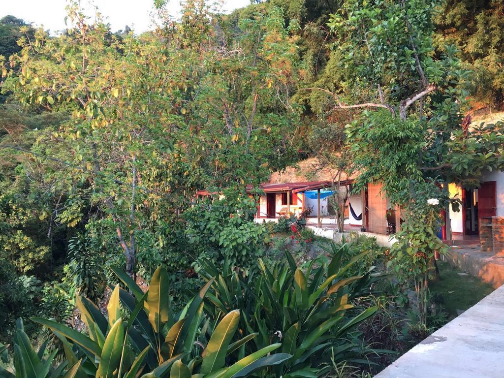 Finca San Rafael - Cafe Y Cacao Minca Eksteriør billede
