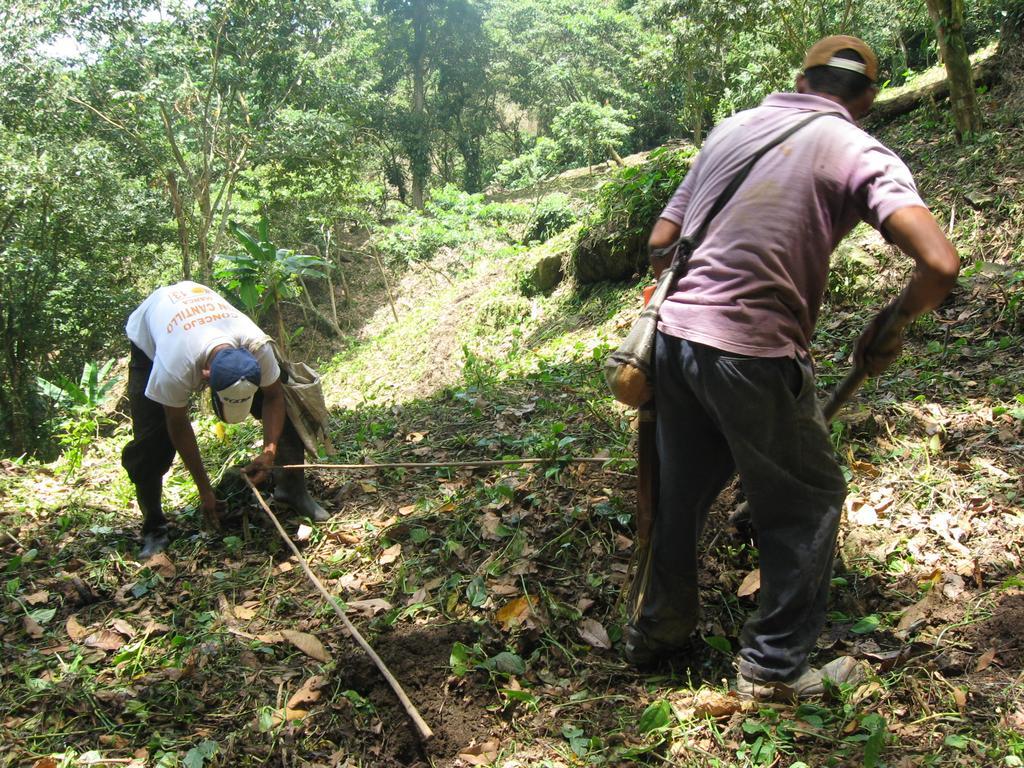 Finca San Rafael - Cafe Y Cacao Minca Eksteriør billede
