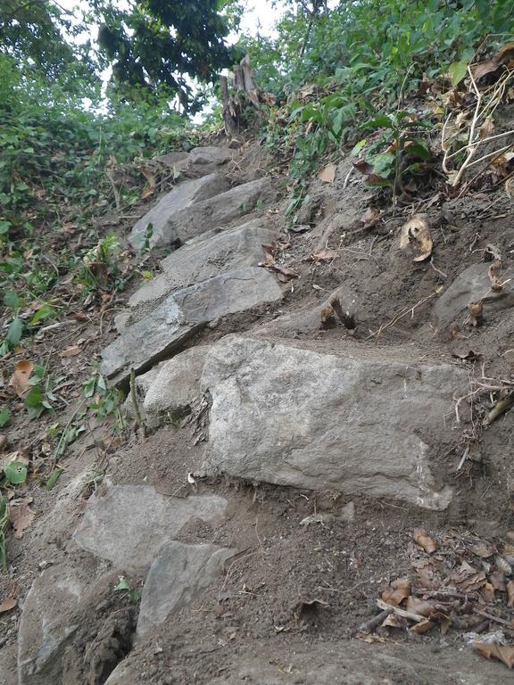 Finca San Rafael - Cafe Y Cacao Minca Eksteriør billede