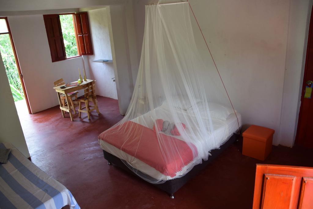 Finca San Rafael - Cafe Y Cacao Minca Eksteriør billede