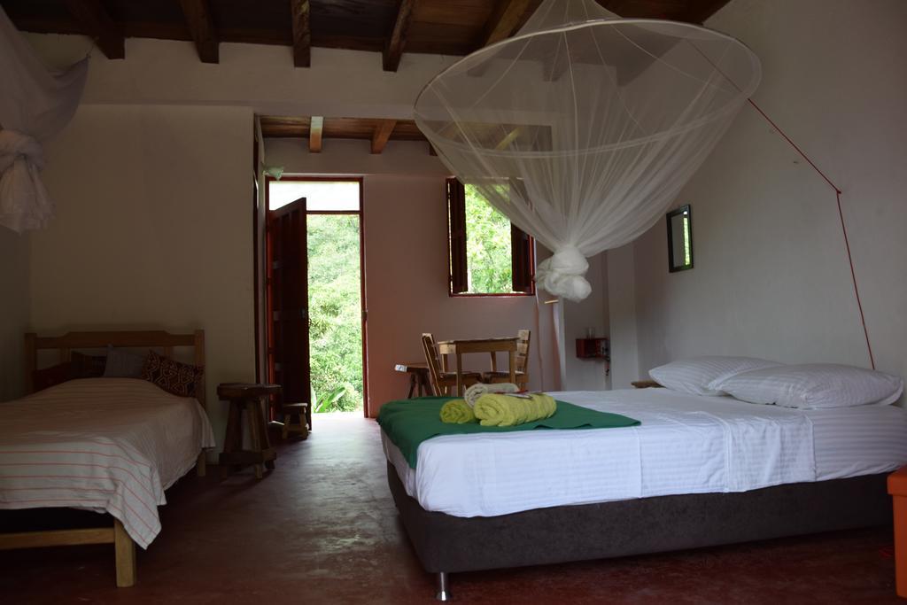 Finca San Rafael - Cafe Y Cacao Minca Eksteriør billede