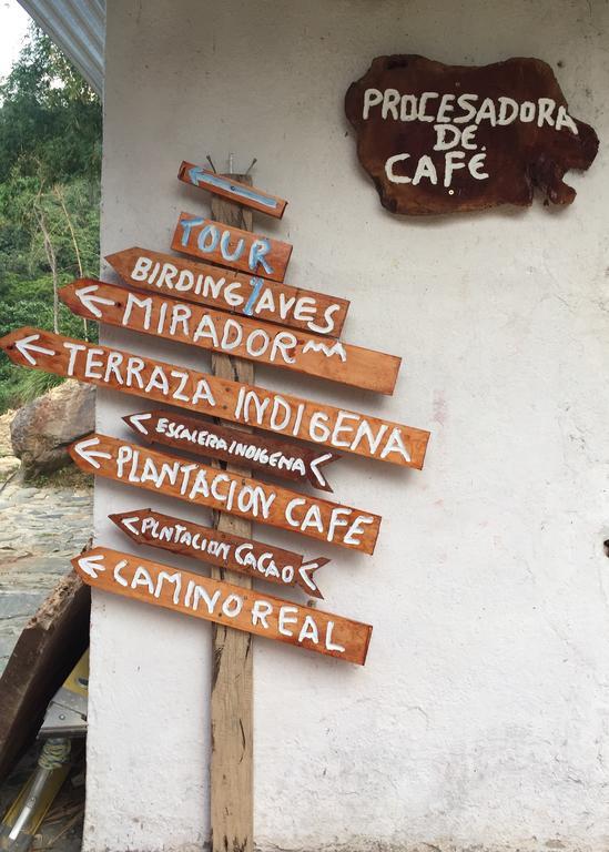 Finca San Rafael - Cafe Y Cacao Minca Eksteriør billede