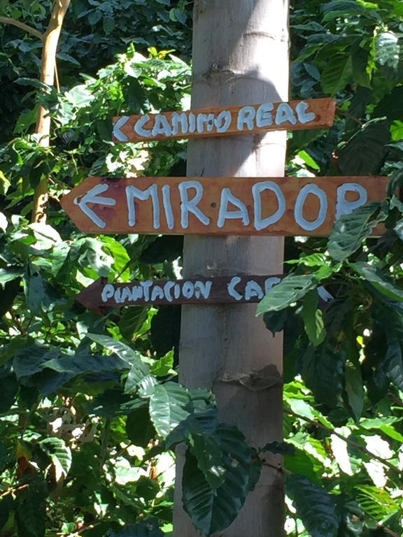 Finca San Rafael - Cafe Y Cacao Minca Eksteriør billede