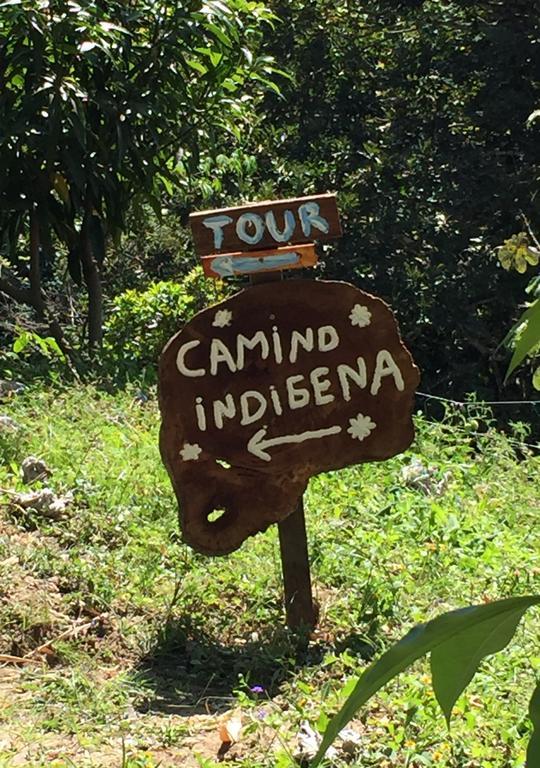 Finca San Rafael - Cafe Y Cacao Minca Eksteriør billede