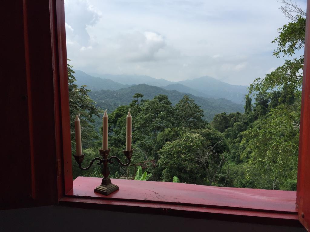 Finca San Rafael - Cafe Y Cacao Minca Eksteriør billede