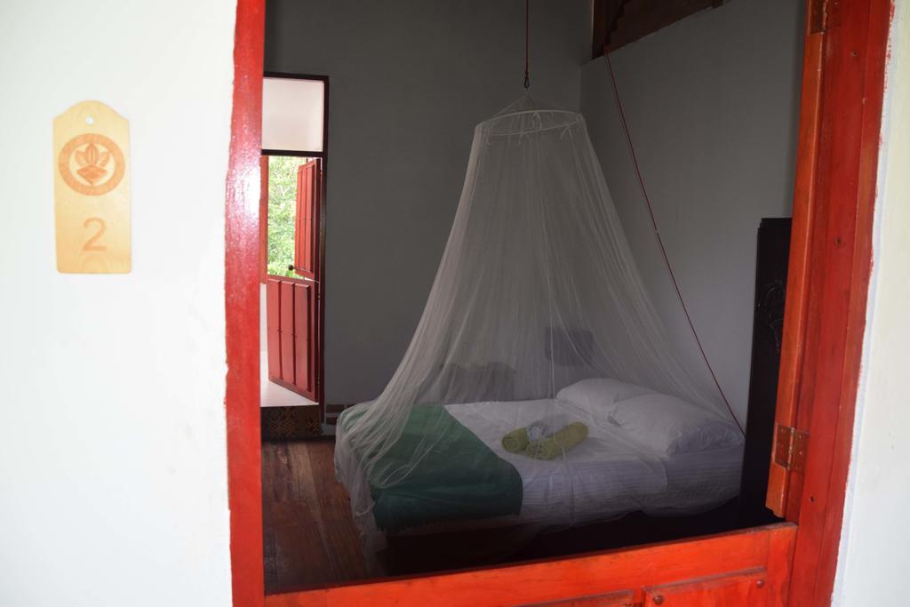 Finca San Rafael - Cafe Y Cacao Minca Eksteriør billede