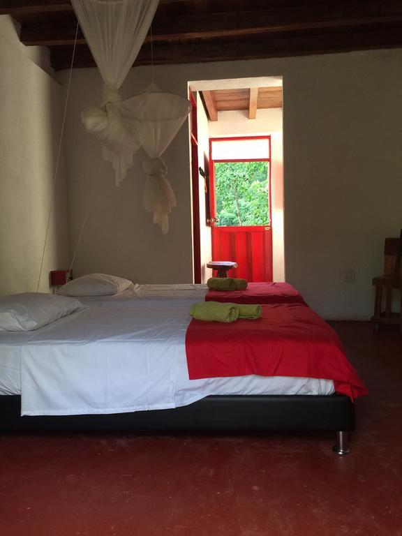 Finca San Rafael - Cafe Y Cacao Minca Eksteriør billede