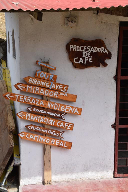 Finca San Rafael - Cafe Y Cacao Minca Eksteriør billede
