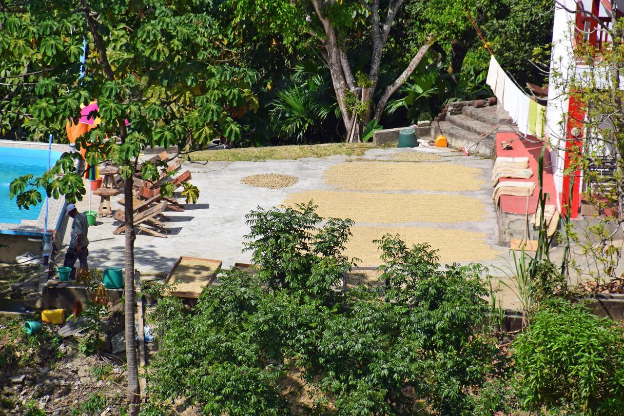 Finca San Rafael - Cafe Y Cacao Minca Eksteriør billede