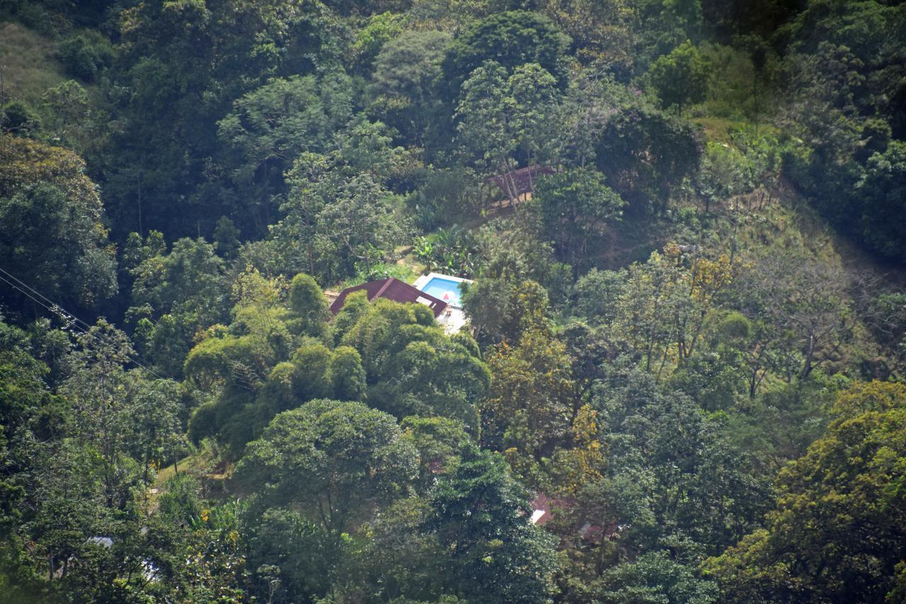 Finca San Rafael - Cafe Y Cacao Minca Eksteriør billede