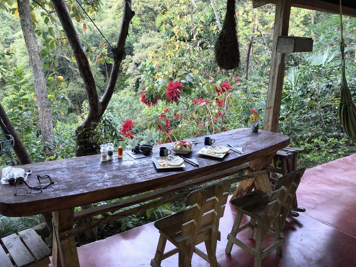 Finca San Rafael - Cafe Y Cacao Minca Eksteriør billede