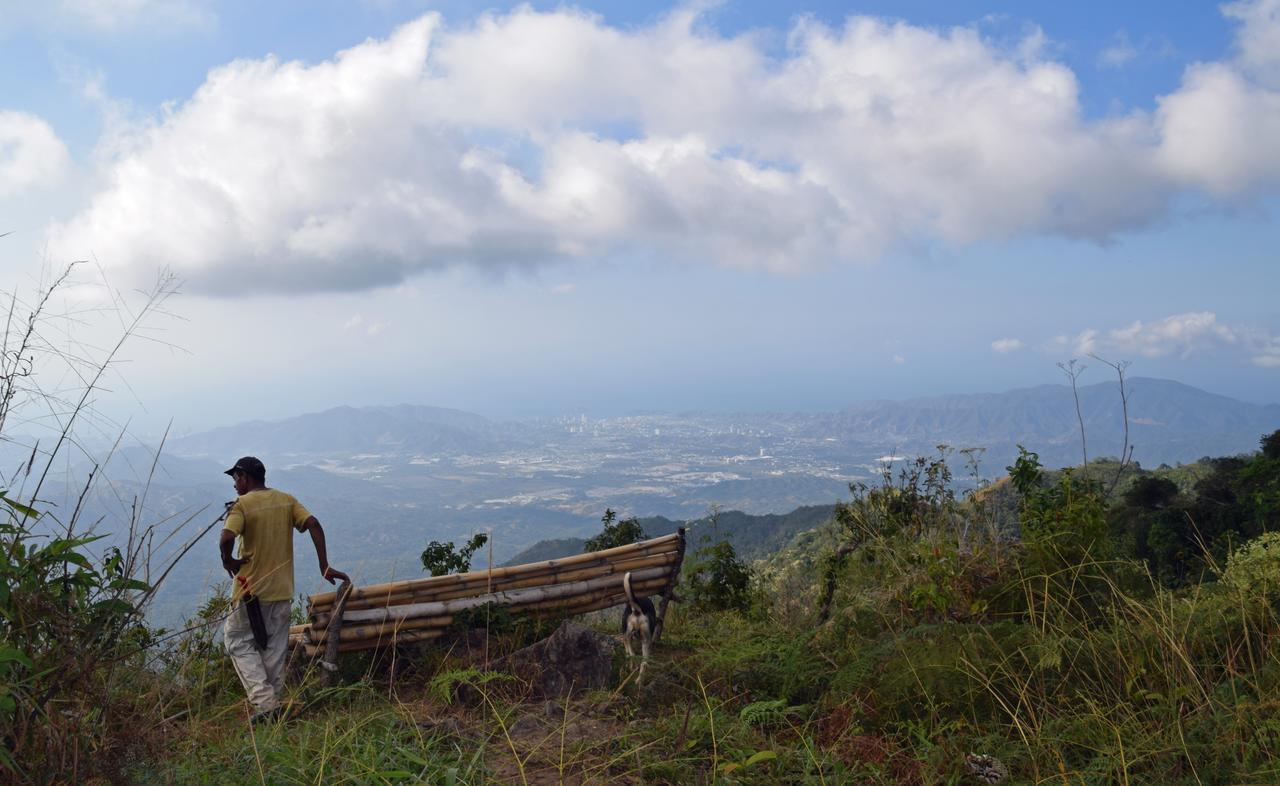Finca San Rafael - Cafe Y Cacao Minca Eksteriør billede